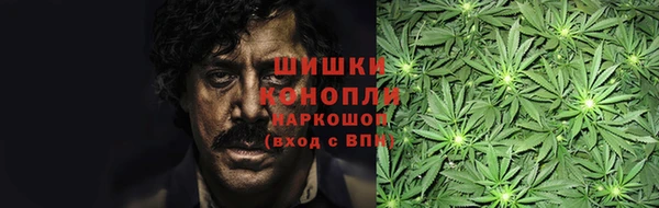 гидра Арсеньев