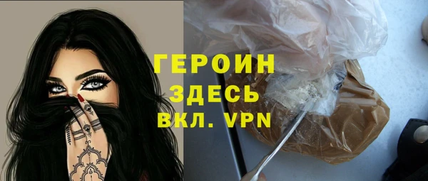 гидра Арсеньев
