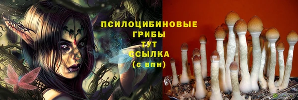 меф Армянск