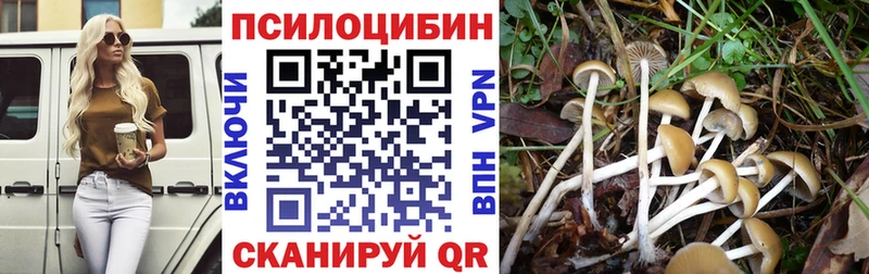 где продают   Ульяновск  KRAKEN зеркало  Галлюциногенные грибы Cubensis 
