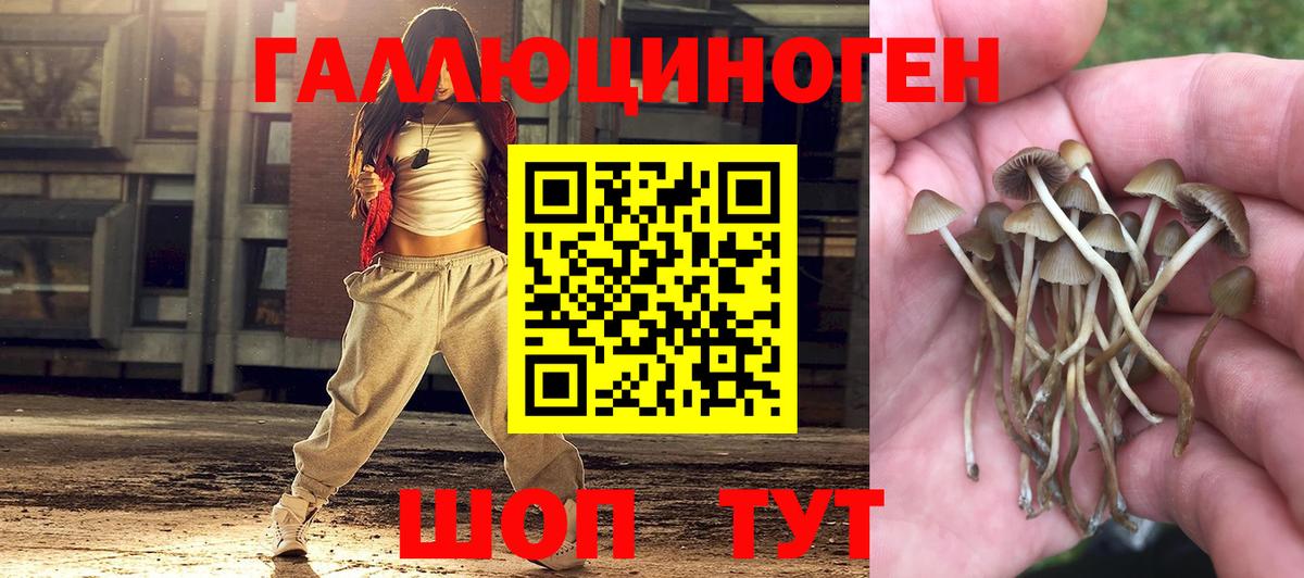 Галлюциногенные грибы Psilocybe  Вход с VPN  Ульяновск 